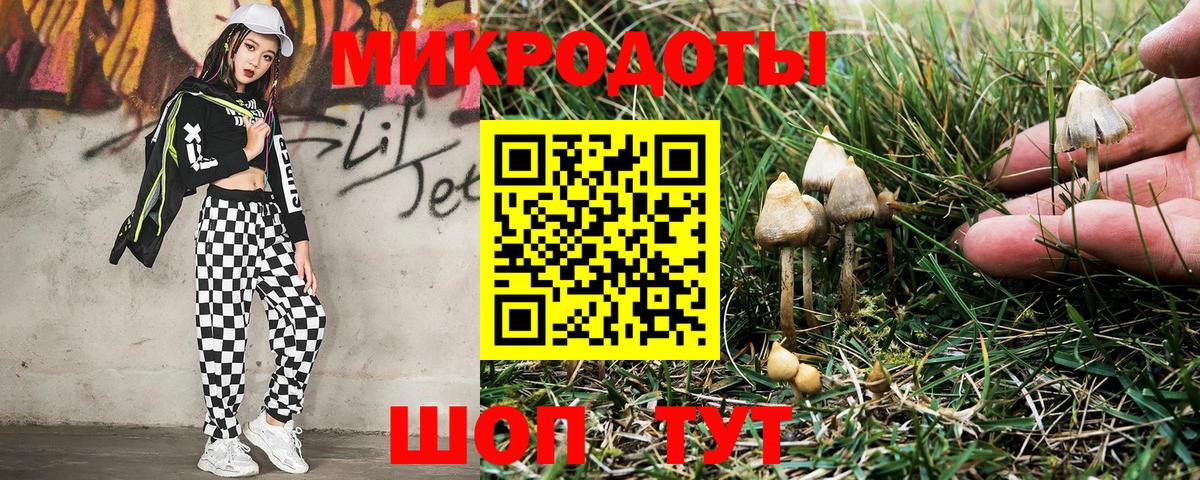 Псилоцибиновые грибы GOLDEN TEACHER Видное